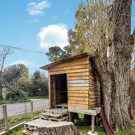 Gorgeous In Dame De Monts *