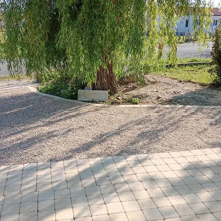 Gorgeous In Dame De Monts * Notre-Dame-de-Monts