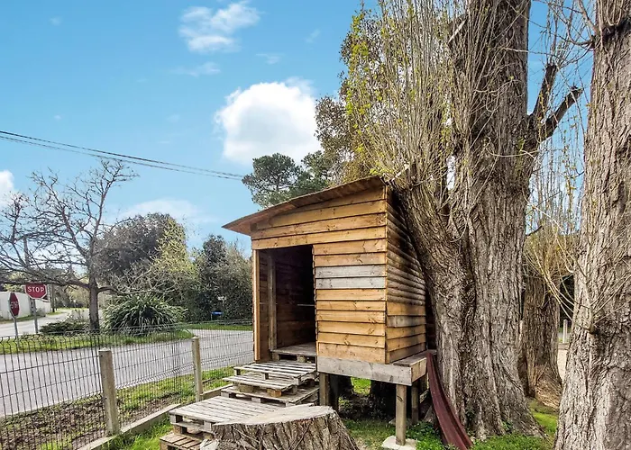 Gorgeous In Dame De Monts *