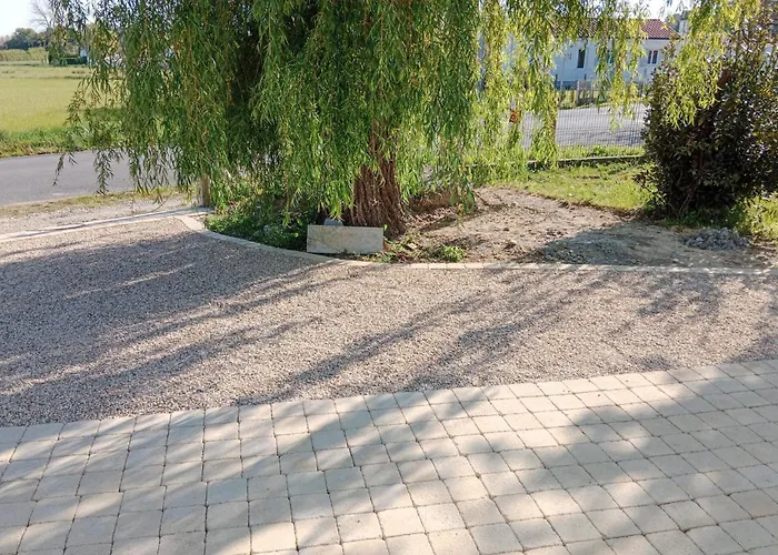 Gorgeous In Dame De Monts * Notre-Dame-de-Monts